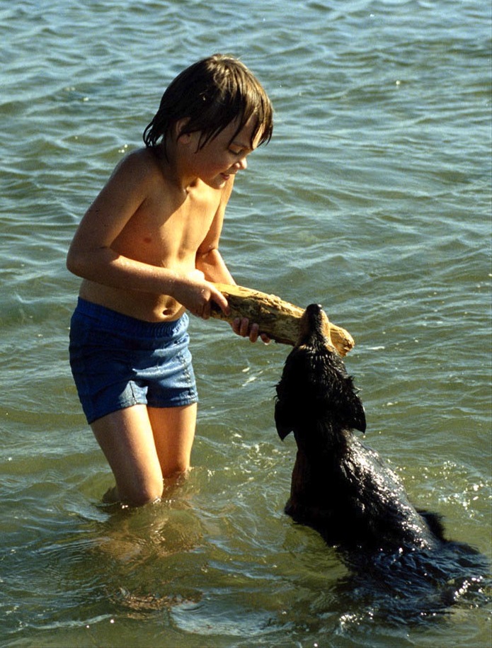 young boy and dog playing with a stick in the ocean