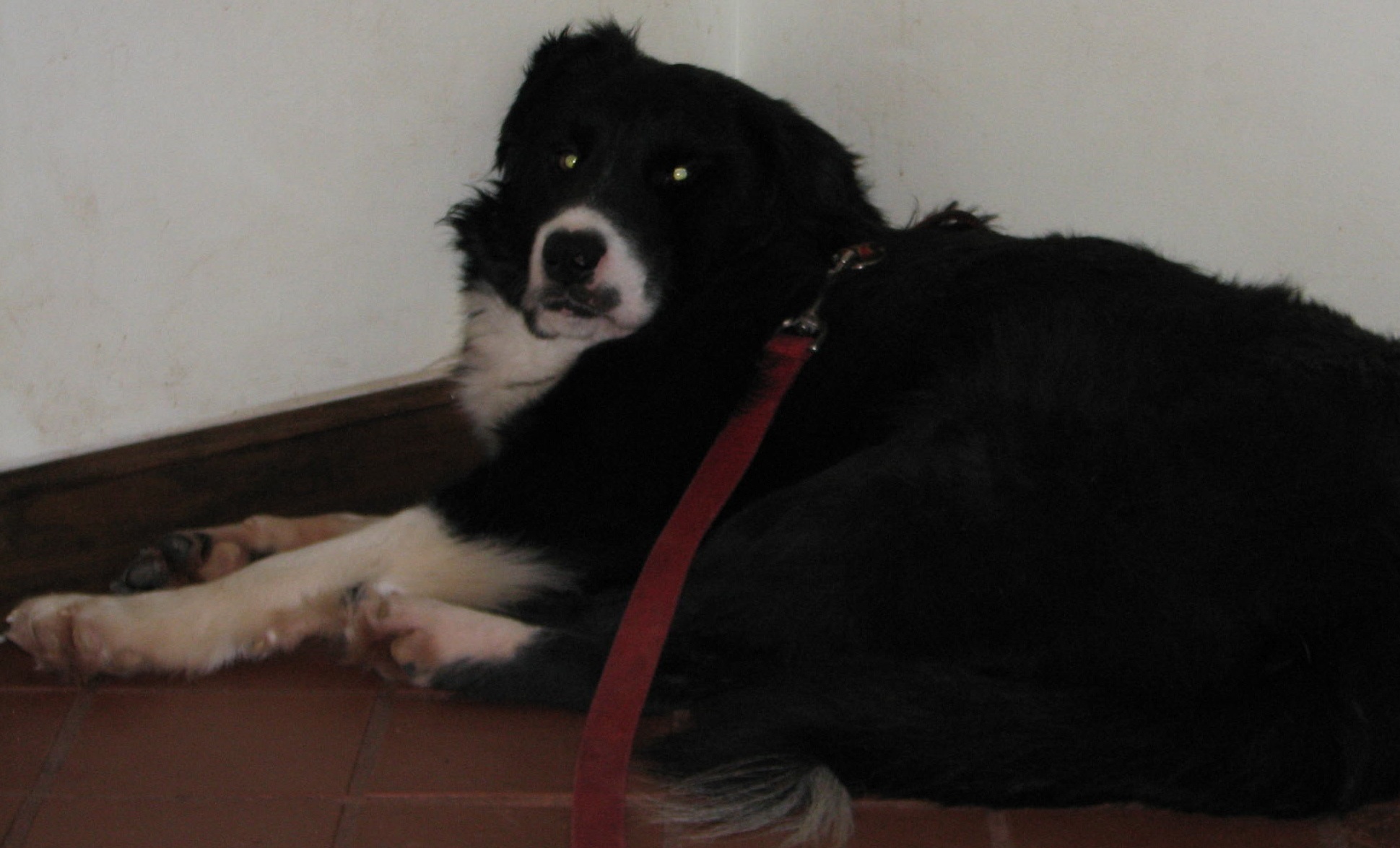 Being scared is no way to live.