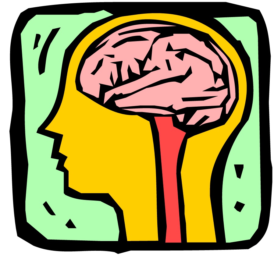 cartoon image of a brain inside a head