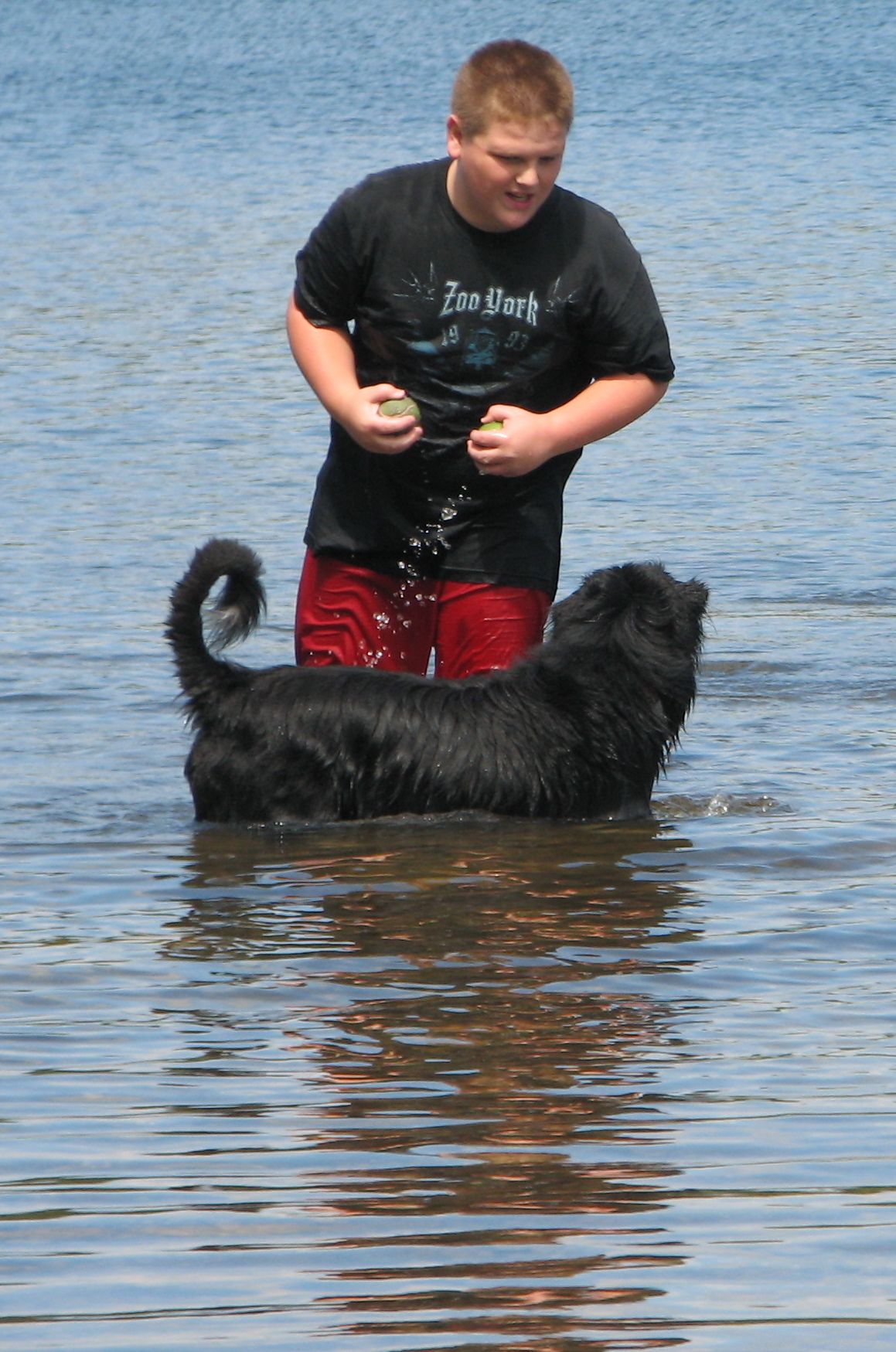boy playing with black dog in a pond