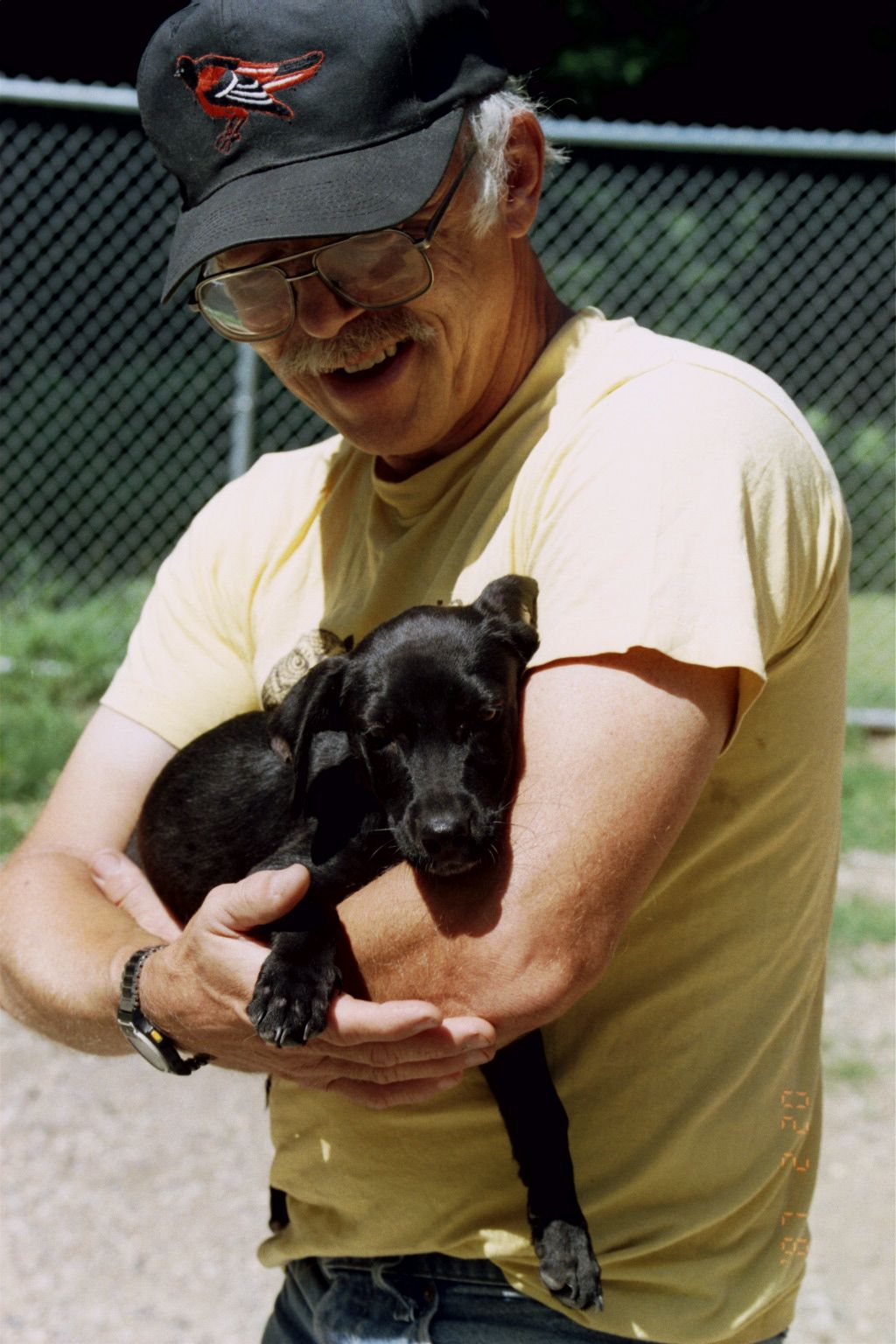 small black dog being held by a man at an animal shelter