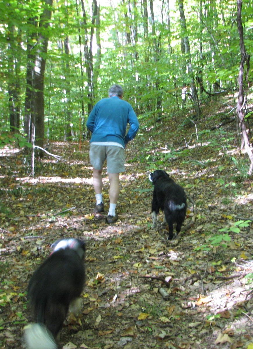 man walking in the woods with 2 dogs