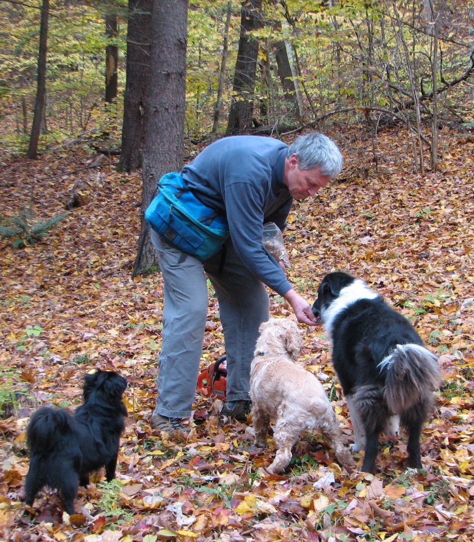 man feeding treats to dogs in the woods