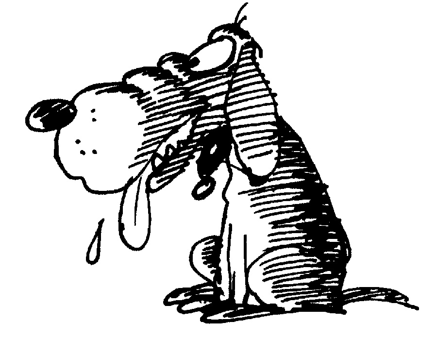 pen and ink cartoon of panting  hound dog