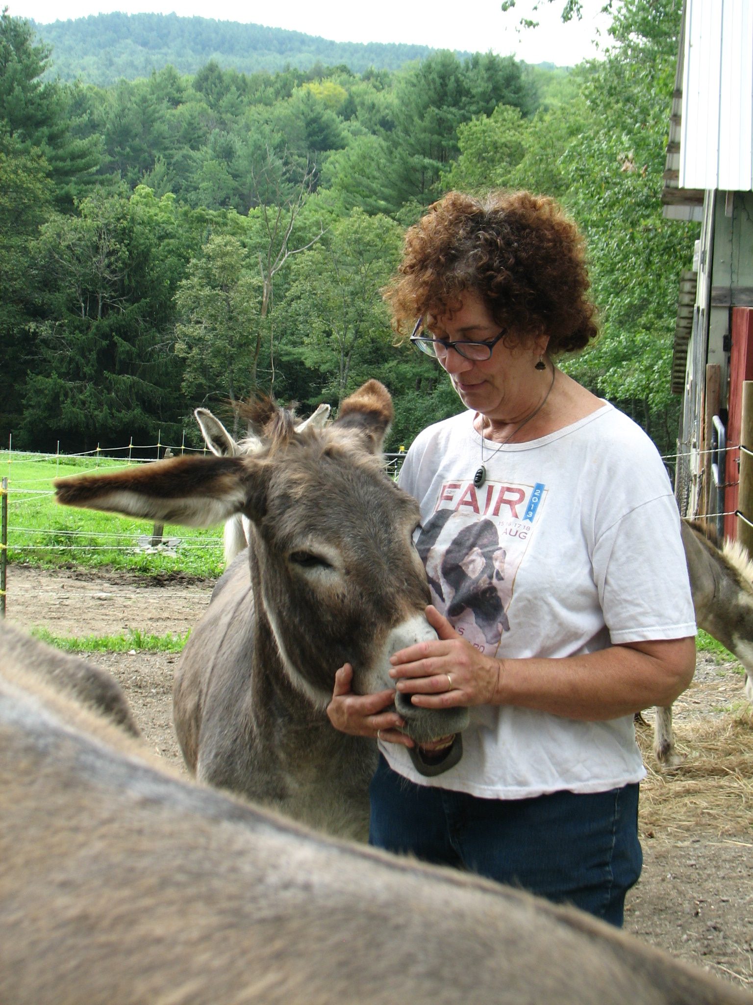 white woman with dark hair wearing a white t shirt touching the muzzle of a donkey leaning its head against her chest