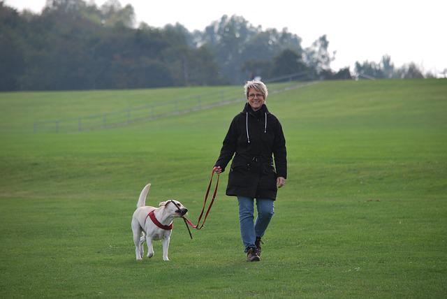 smiling woman walking on a large green lawn with a dog on a leash