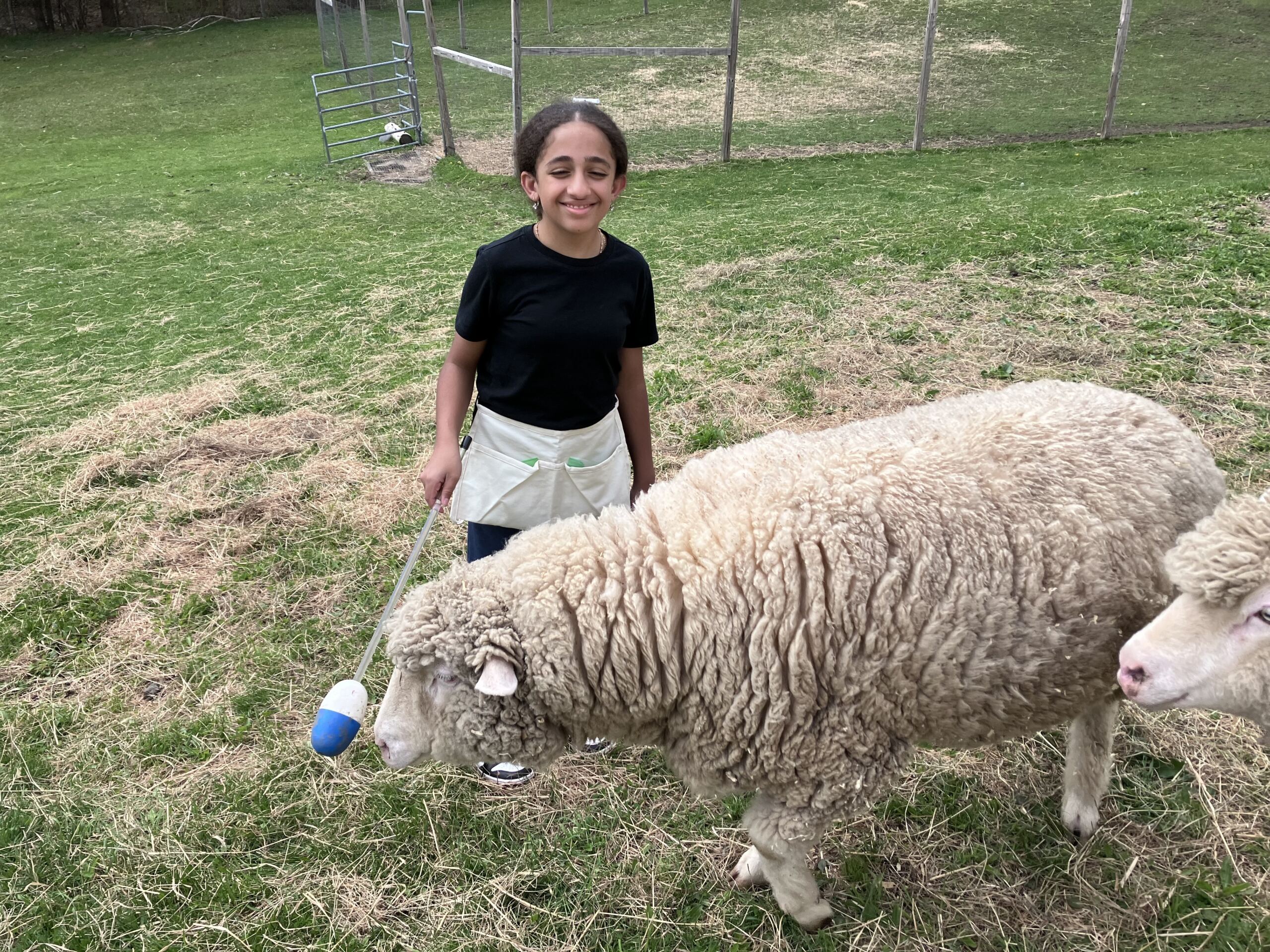 girl&sheep